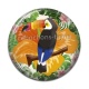 Cabochon Résine - toucan