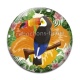 Cabochon Verre - toucan