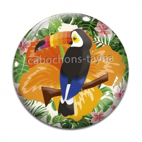 Cabochon Verre - toucan