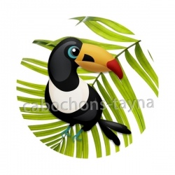 toucan