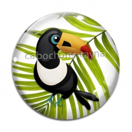 Cabochon Verre - toucan