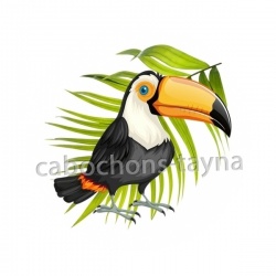 toucan