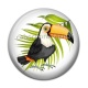 Cabochon Résine - toucan