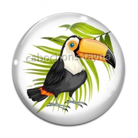 Cabochon Verre - toucan