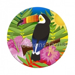 toucan