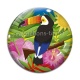 Cabochon Verre - toucan