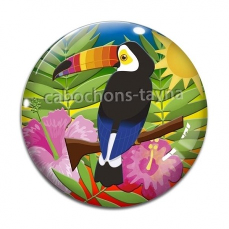 Cabochon Verre - toucan
