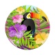 toucan
