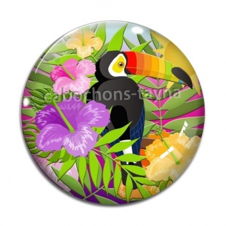 Cabochon Verre - toucan
