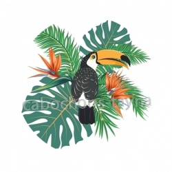 toucan