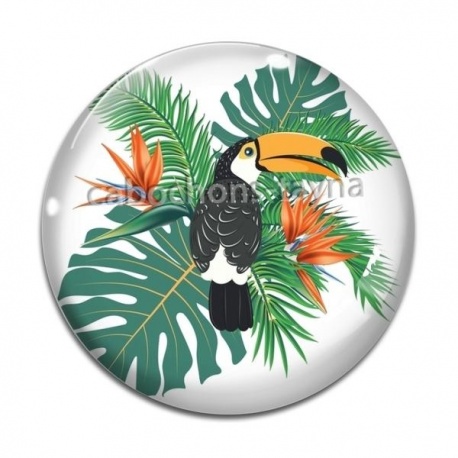 Cabochon Verre - toucan
