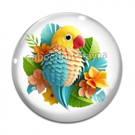 Cabochon Verre - perroquet