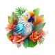 perroquet