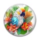 Cabochon Verre - perroquet