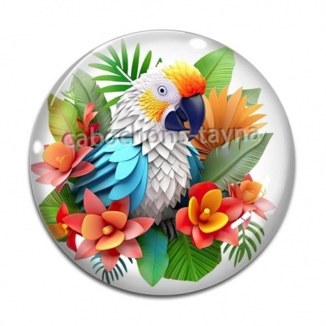 Cabochon Verre - perroquet