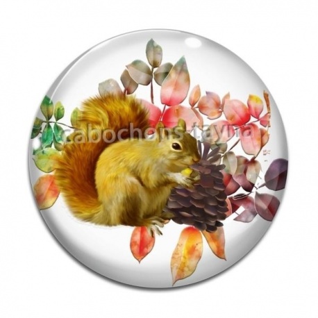 Cabochon Verre - écureuil 