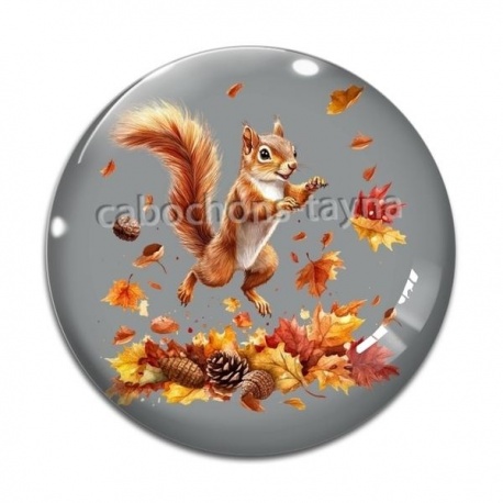 Cabochon Verre - écureuil 