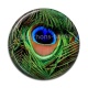 Cabochon Résine - plume de paon