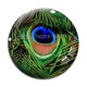 Cabochon Verre - plume de paon