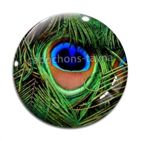 Cabochon Verre - plume de paon