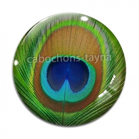 Cabochon Verre - plume de paon