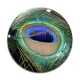 Cabochon Verre - plume de paon