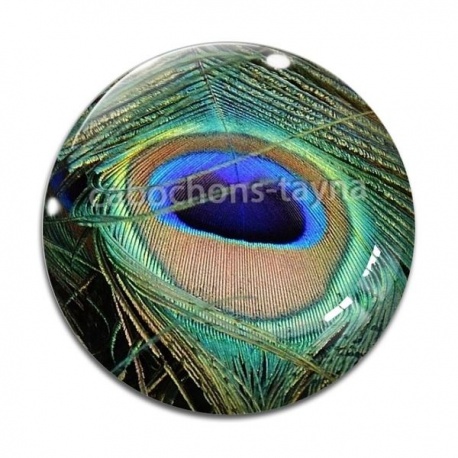 Cabochon Verre - plume de paon