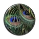 Cabochon Résine - plume de paon