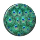 Cabochon Résine - plume de paon