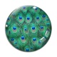 Cabochon Verre - plume de paon