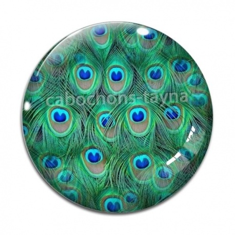 Cabochon Verre - plume de paon