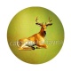 cerf