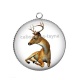 Pendentif Cabochon Argent - flament rose