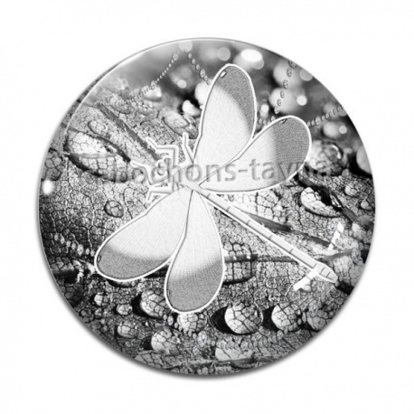 Cabochon Verre - libellule 