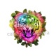 tigre