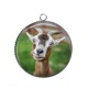 Pendentif Cabochon Argent - chèvre