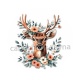 cerf