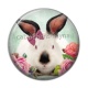 Cabochon Résine - lapin
