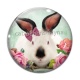 Cabochon Verre - lapin