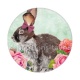 lapin