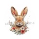 lapin