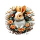 lapin