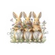 lapin