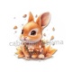 lapin