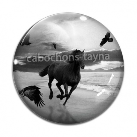 Cabochon Verre - cheval