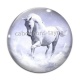 Cabochon Verre - cheval