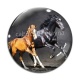Cabochon Verre - cheval