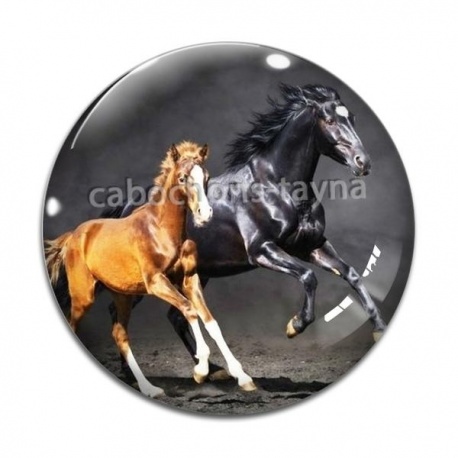Cabochon Verre - cheval