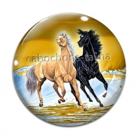 Cabochon Verre - cheval