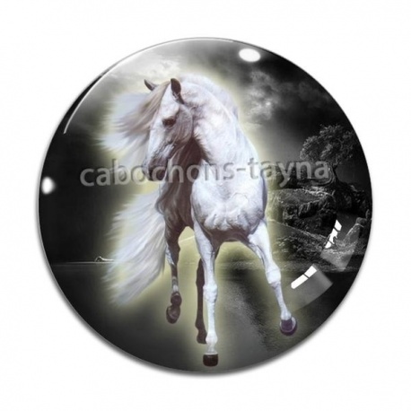 Cabochon Verre - cheval